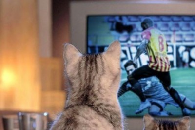 Futbol Ekranı - 21 Eylül 2021 Salı